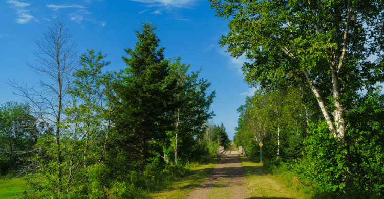 The Confederation Trail