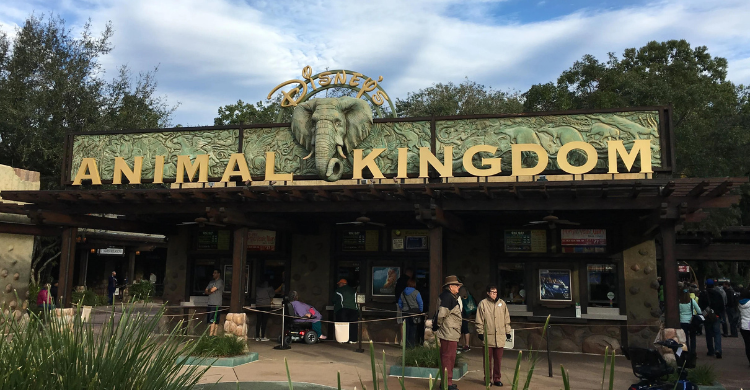 Disney's Animal Kingdom