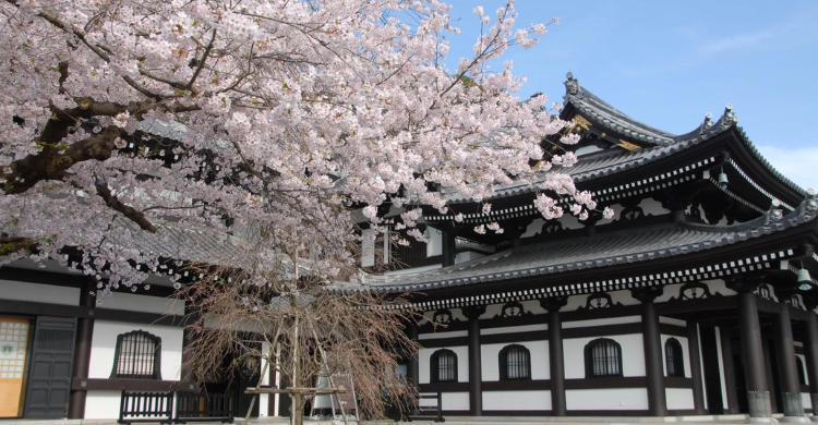 Templo Hasedera en Kamakura de Japón
